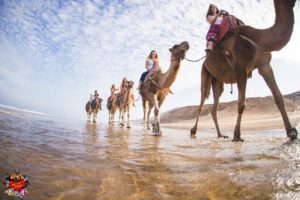 Happy We Love Spain international students enjoying a camel ride on the beaches of Tangier on the Morocco Fantasy Weekend Trip